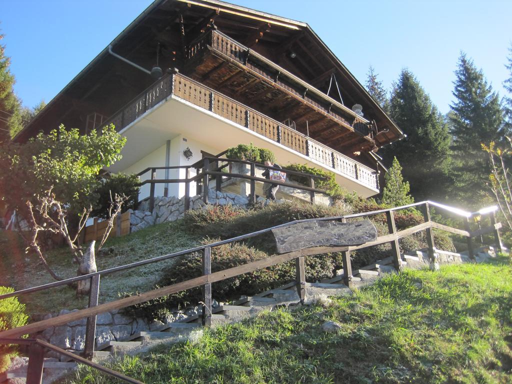 Chalet Erica Apartment Jaun Exterior photo