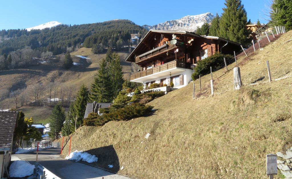 Chalet Erica Apartment Jaun Exterior photo
